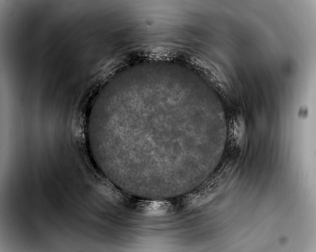X0000103910663200810101309
