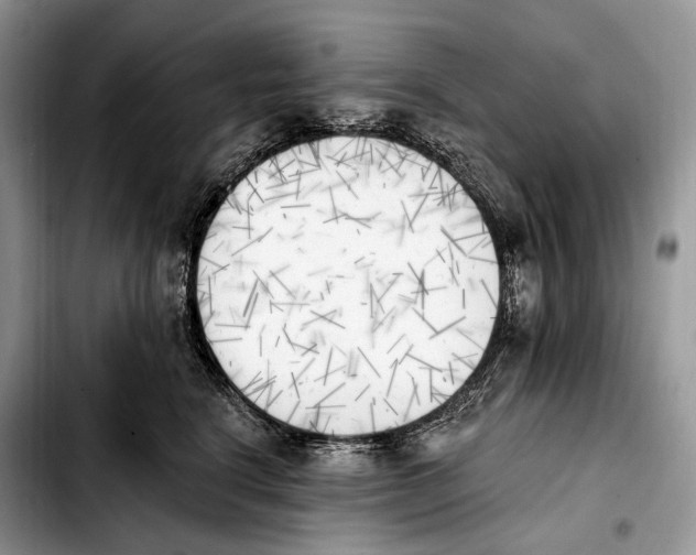 X0000103910664200810101309
