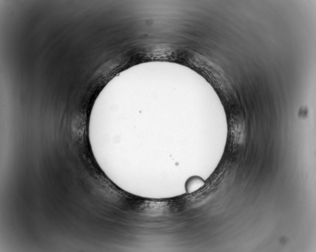 X0000103910665200810101309