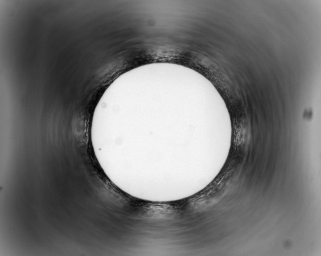 X0000103910666200810101309