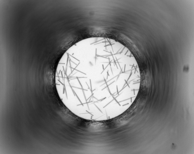 X0000103910669200810101309