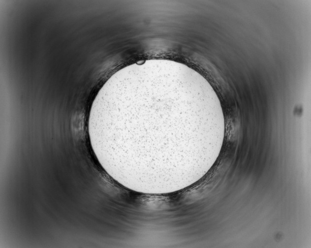 X0000103910670200810101309
