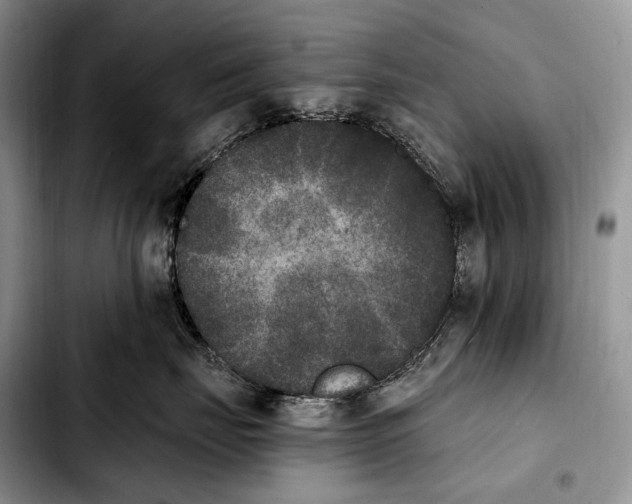 X0000103910671200810101309