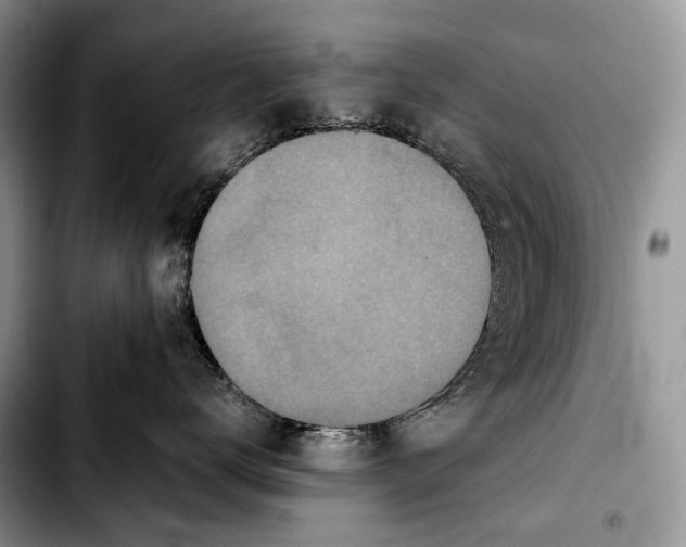 X0000103910672200810101309