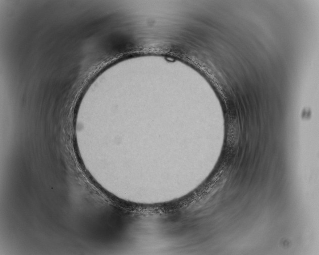 X0000103910673200810101308