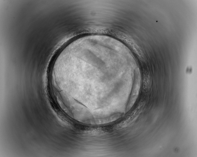X0000103910674200810101308