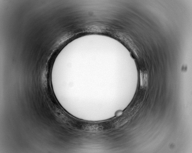 X0000103910675200810101308
