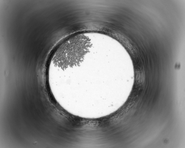 X0000103910676200810101308