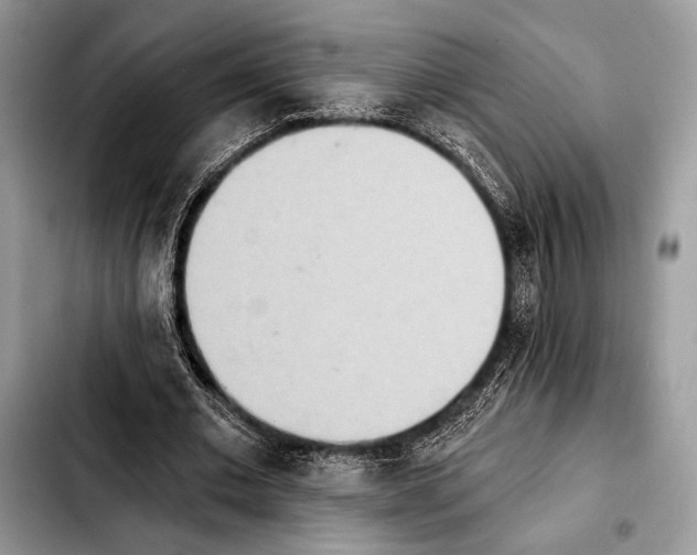 X0000103910677200810101308