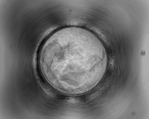 X0000103910678200810101308