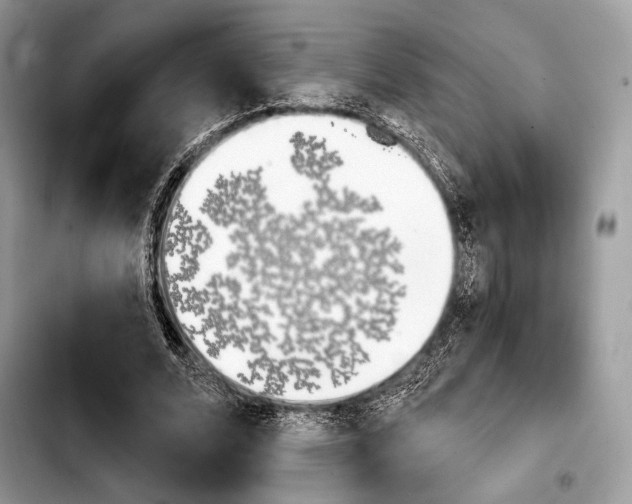 X0000103910680200810101308