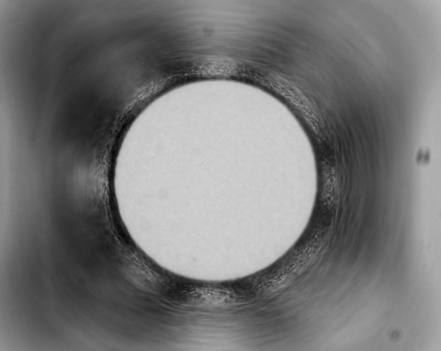 X0000103910681200810101308