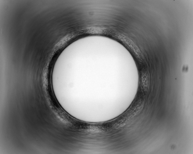 X0000103910682200810101308