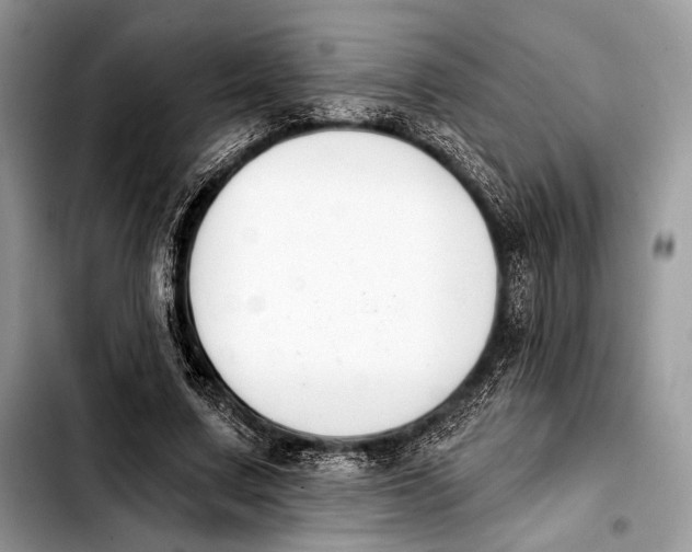 X0000103910683200810101308