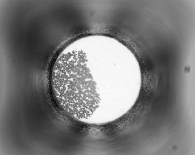 X0000103910684200810101308