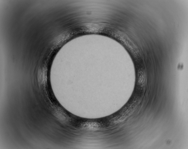 X0000103910685200810101308