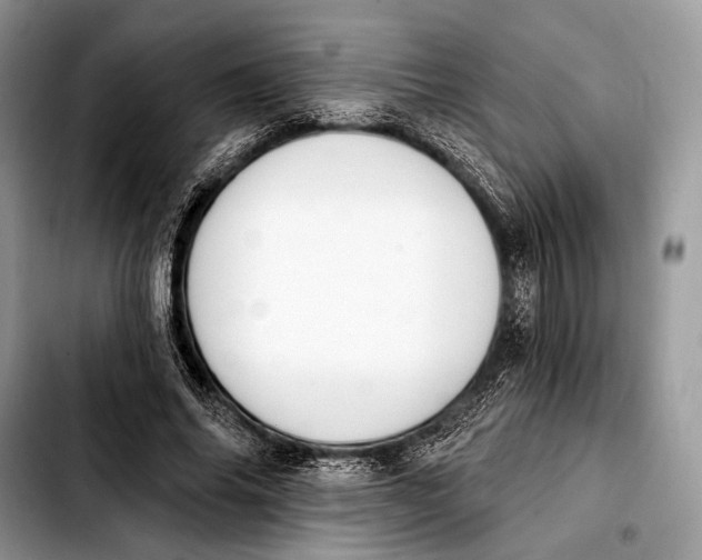 X0000103910686200810101308