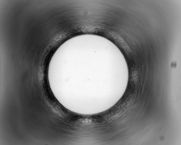 X0000103910687200810101308