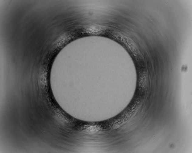 X0000103910689200810101308