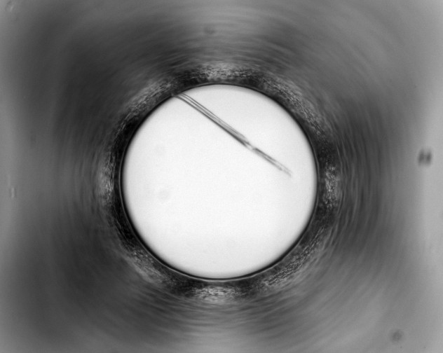 X0000103910691200810101308