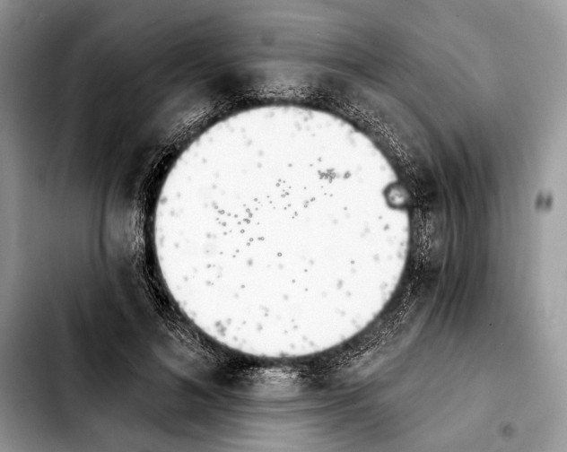 X0000103910692200810101308