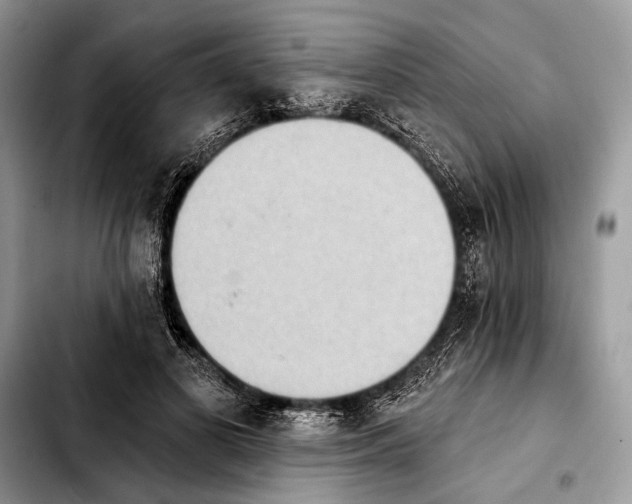 X0000103910693200810101308