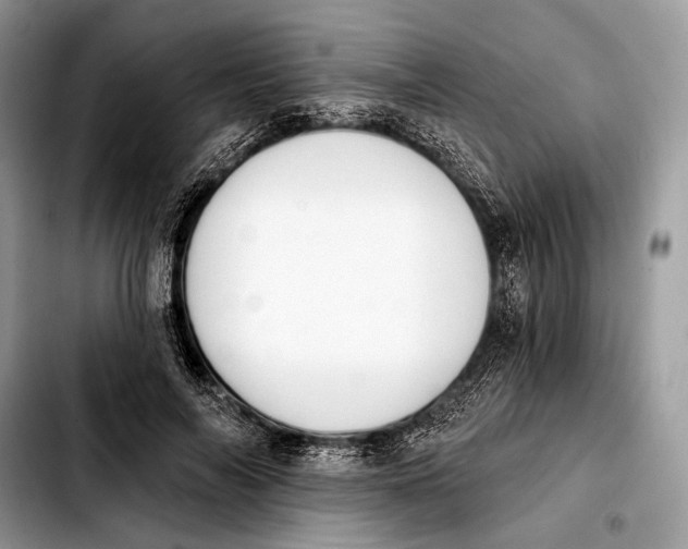 X0000103910694200810101308