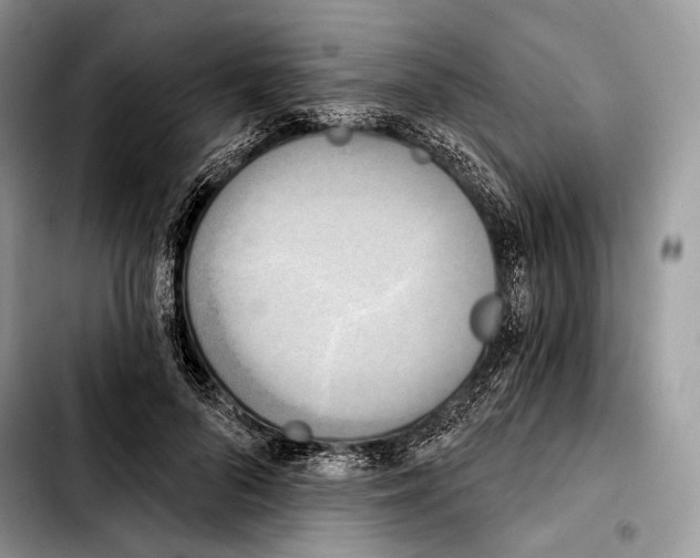 X0000103910696200810101308