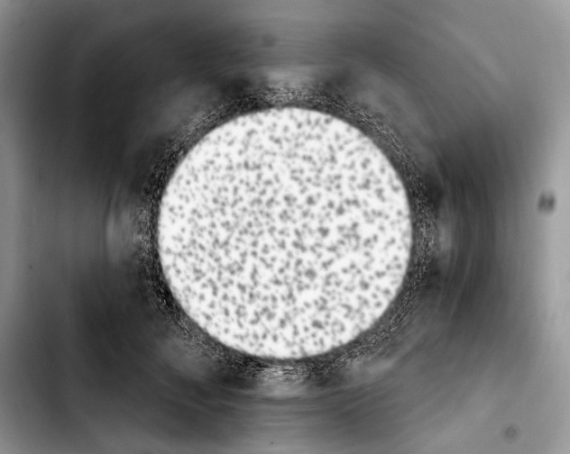 X0000103910700200810101308