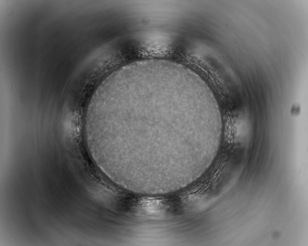 X0000103910701200810101308