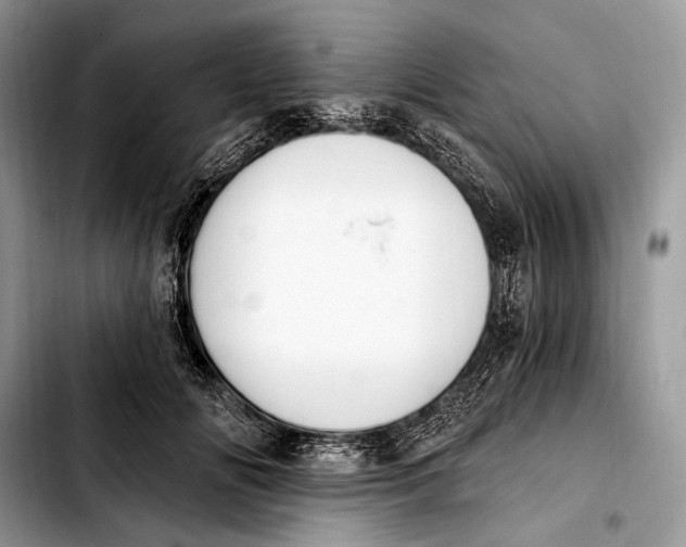 X0000103910702200810101308