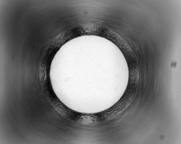 X0000103910703200810101308
