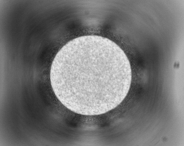 X0000103910704200810101308
