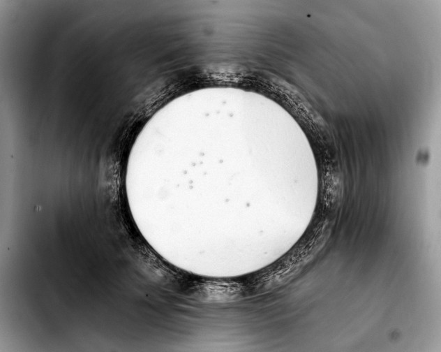 X0000103910707200810101308