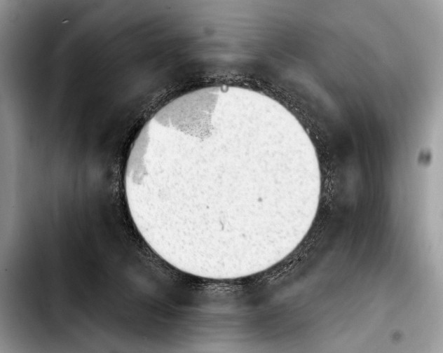 X0000103910708200810101308