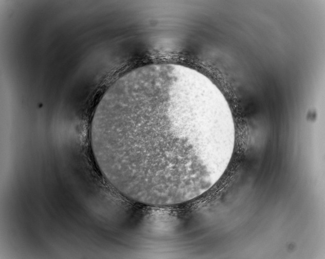 X0000103910709200810101308