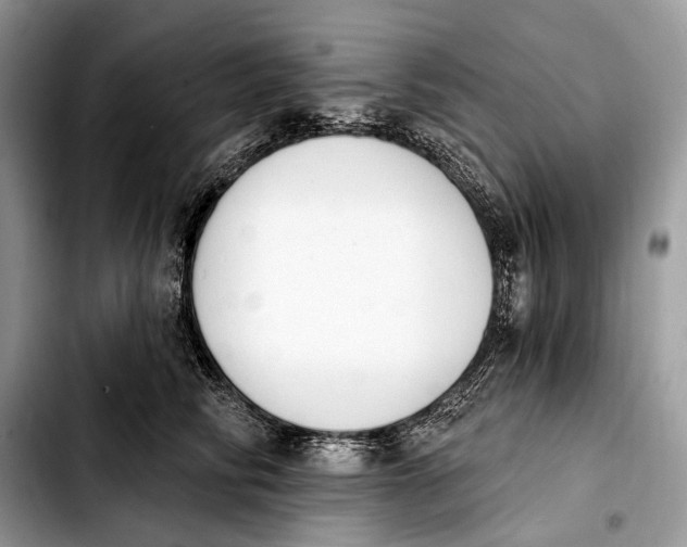 X0000103910710200810101308