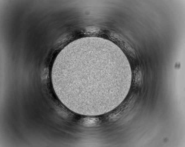 X0000103910711200810101308