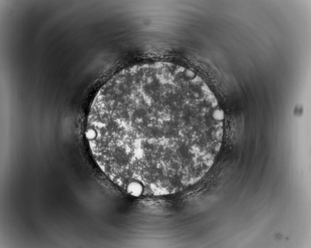 X0000103910712200810101308