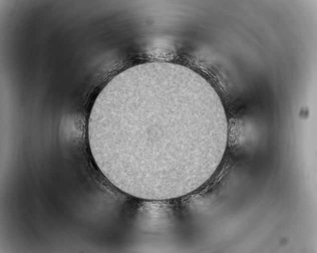 X0000103910713200810101308