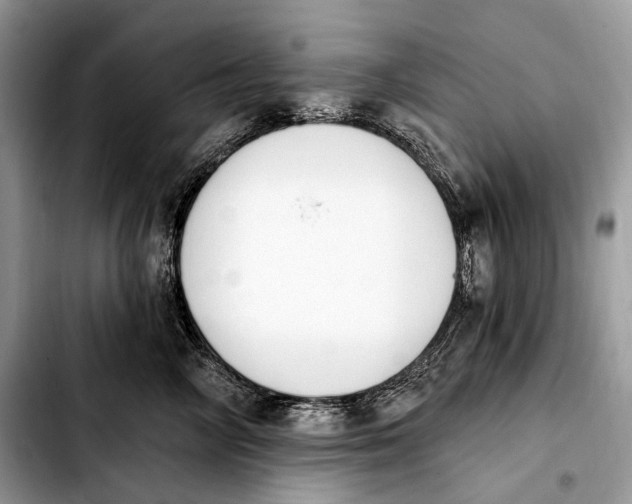 X0000103910714200810101308
