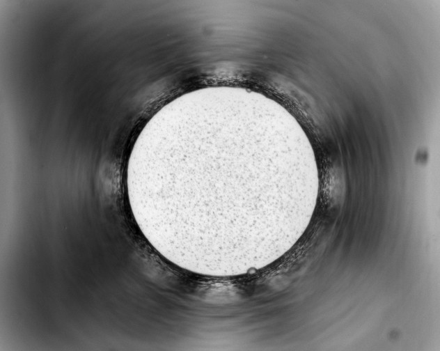 X0000103910715200810101308