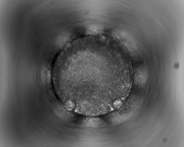 X0000103910716200810101308