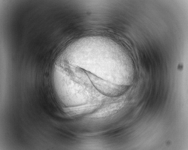 X0000103910717200810101308