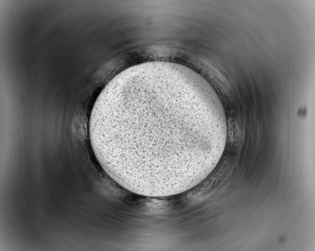 X0000103910718200810101308