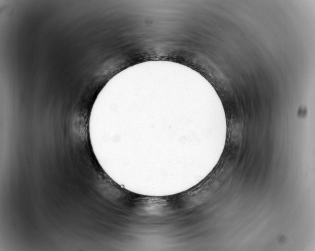X0000103910719200810101308