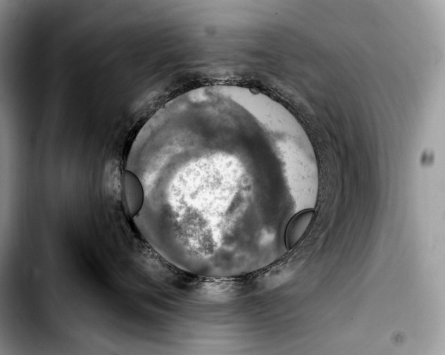 X0000103910720200810101308
