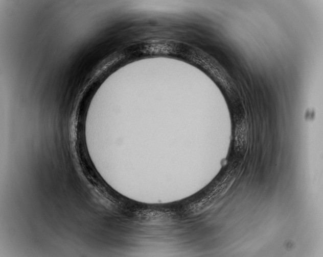 X0000103910722200810101307
