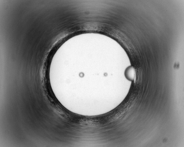 X0000103910723200810101307