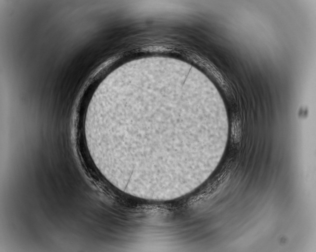 X0000103910724200810101307